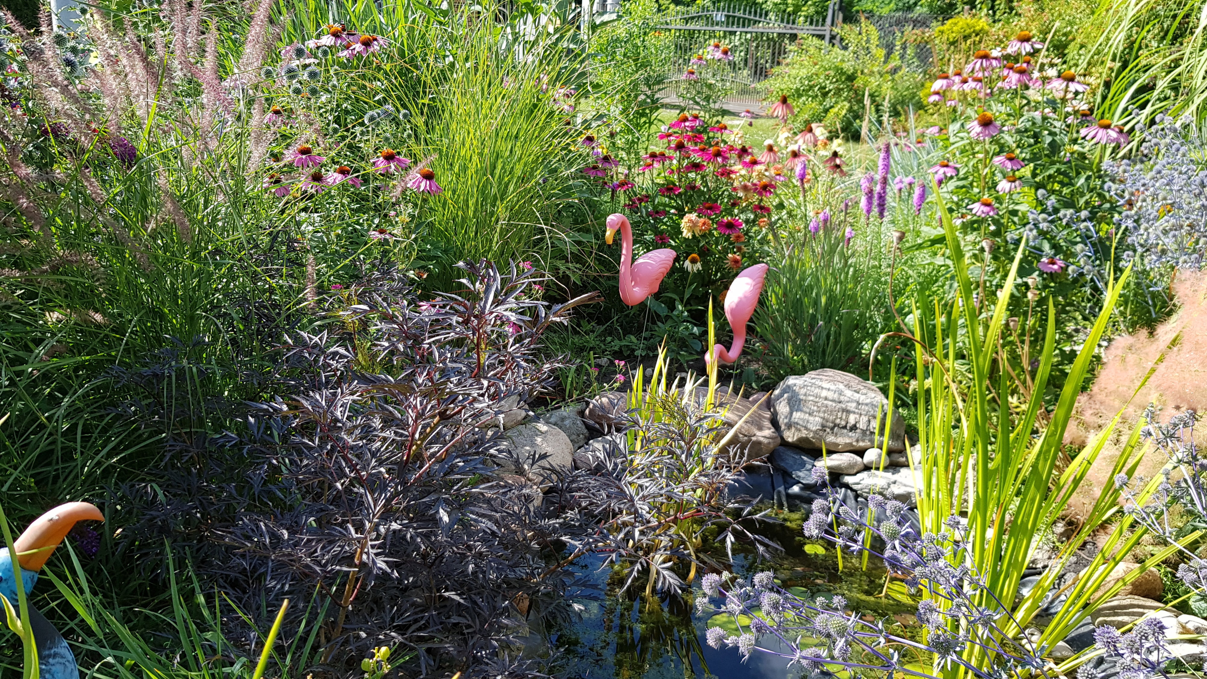 Bywają i flamingi ;)