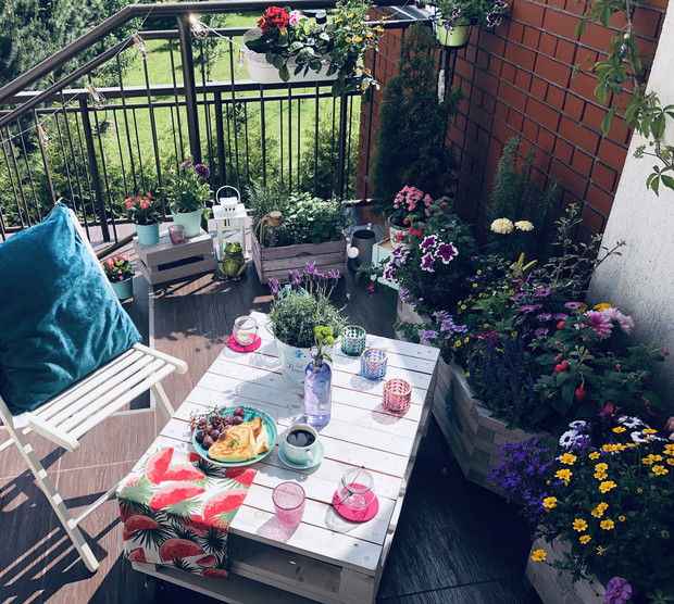 Fiolet, mięta i lawenda