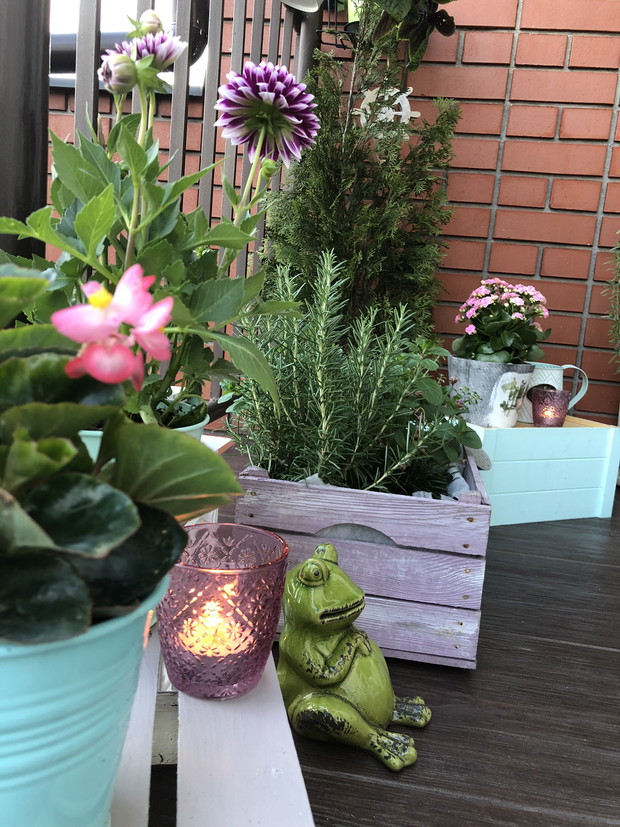 I żabka ma swoje miejsce...