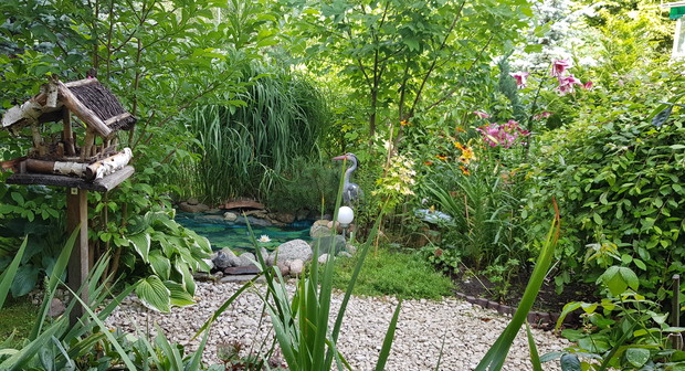 Oczko wodne w ogrodzie.