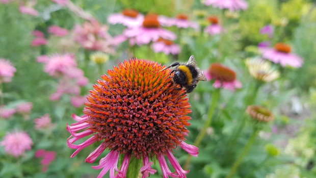 Pierwsze śniadanie ;)