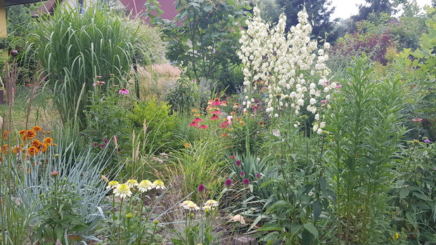 Zielono i  relaksująco oczywiście w ogrodzie.