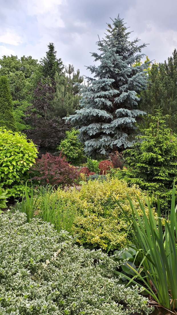 Najstarsza część ogrodu