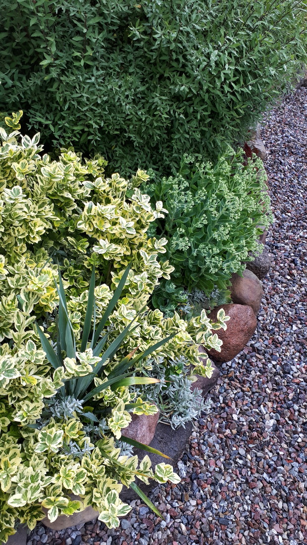 Nowo powstała kamienna ścieżka