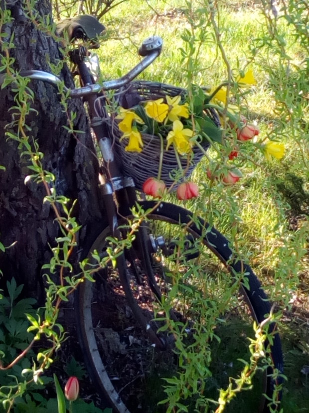 Rowerowy kwietnik na wiosnę.