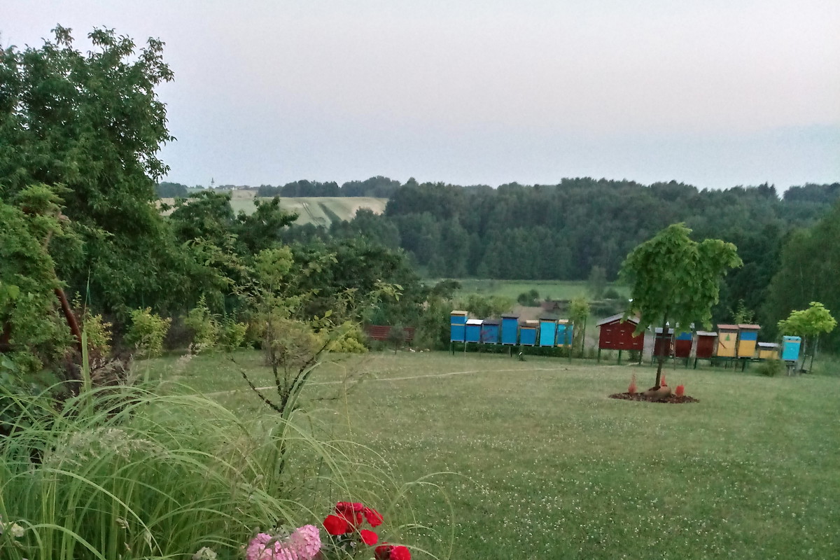 Widok na ule