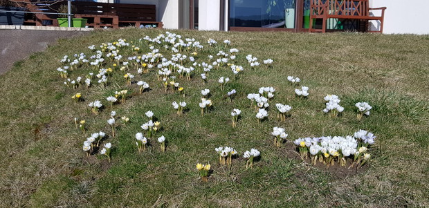 Własna Dolina Chochołowska