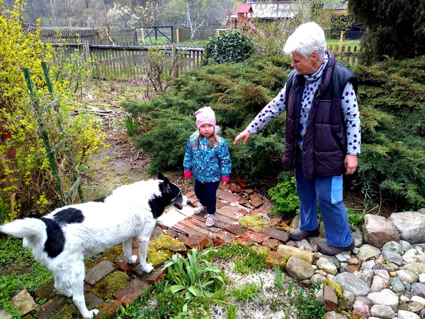 zwiedzamy kwietniowy ogród