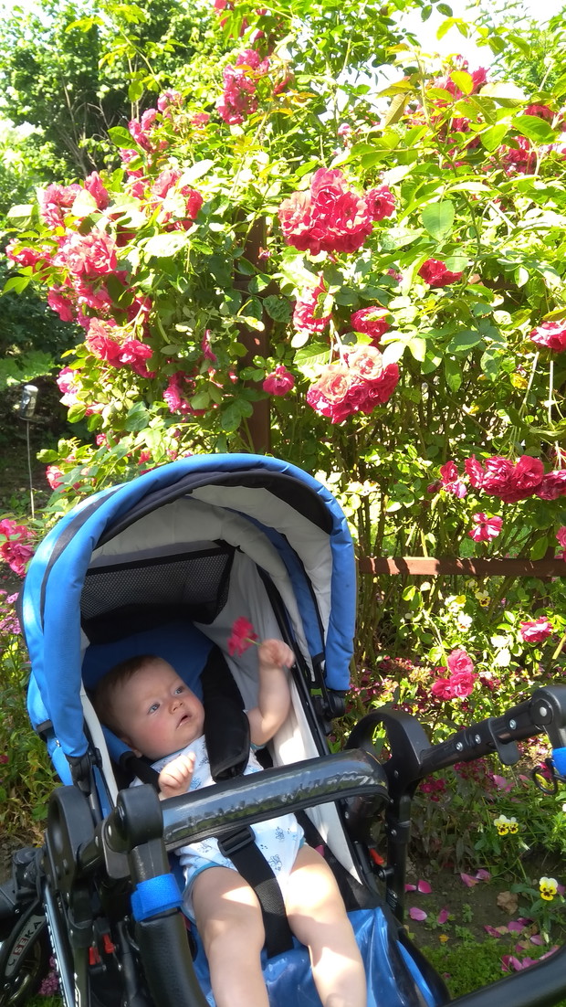 Na pierwszy rzut oka widać, że w małym Leosiu kiełkuje pasja ogrodnicza po dziadkach i pradziadkach.