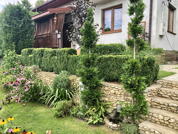 Ujęcie z dolnego ogrodu