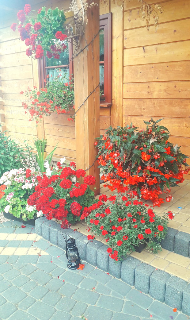 Ujęcie z lewej strony