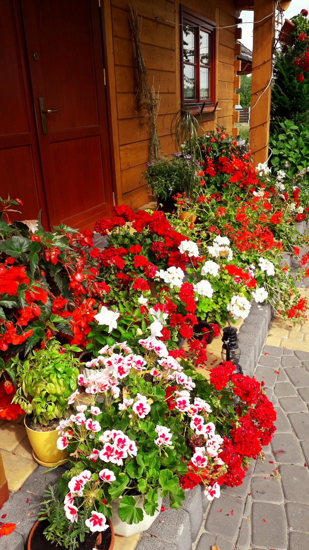 Ujęcie z lewej strony