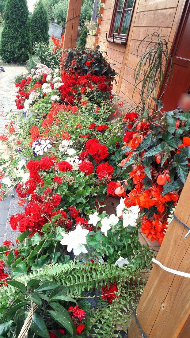 Ujęcie z prawej strony