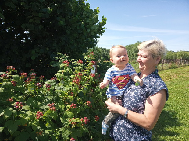 W ogrodzie u babci można też coś pysznego zjeść...