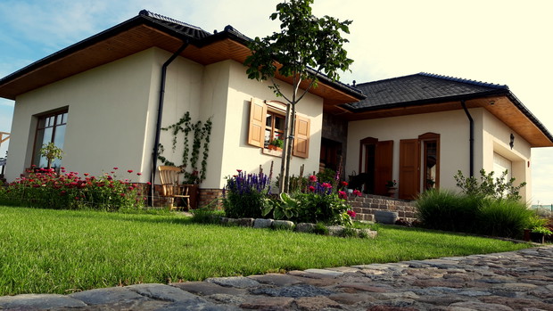 kasztanowiec briotti