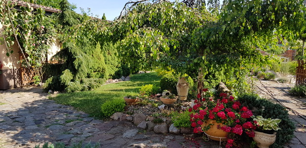 mini skalniak pod brzoza