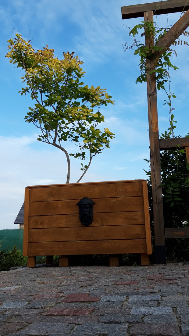 perukowiec Podolskiego