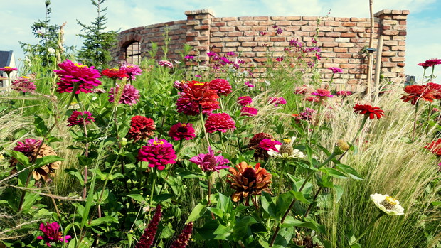 rabata przy wędzarni