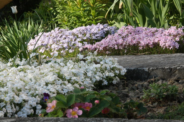 Zakątek relaksu dla ludzi i kotów