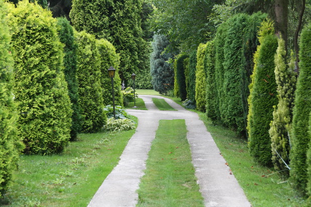 Zakątek relaksu dla ludzi i kotów