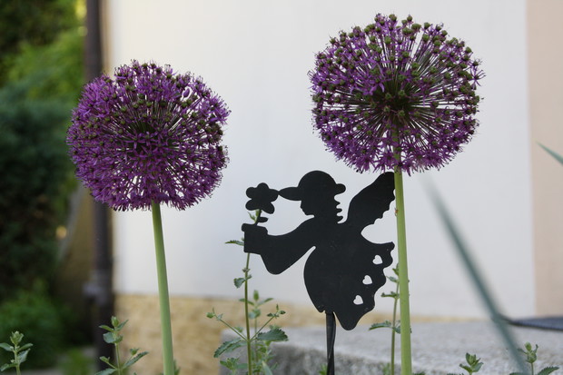 Zakątek relaksu dla ludzi i kotów