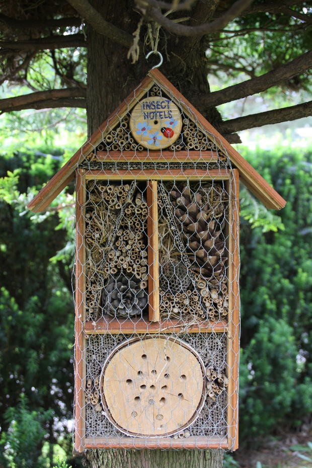 Zakątek relaksu dla ludzi i kotów