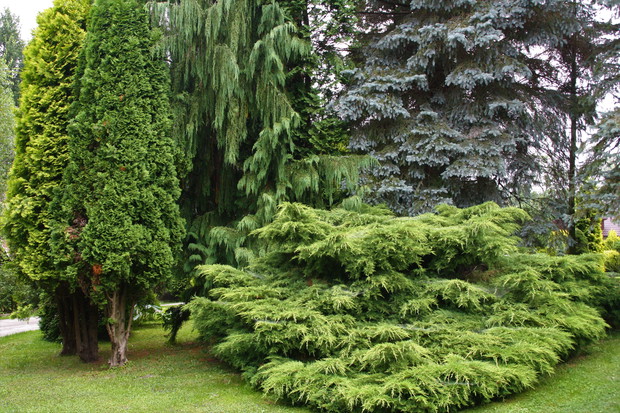 Zakątek relaksu dla ludzi i kotów