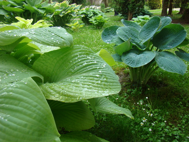 Zakątek relaksu dla ludzi i kotów