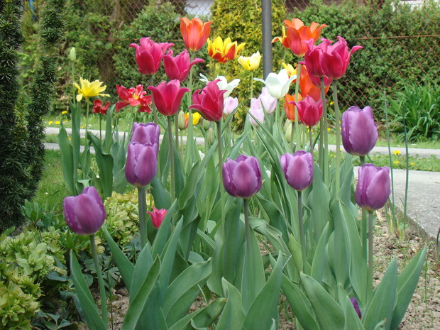 Zakątek relaksu dla ludzi i kotów