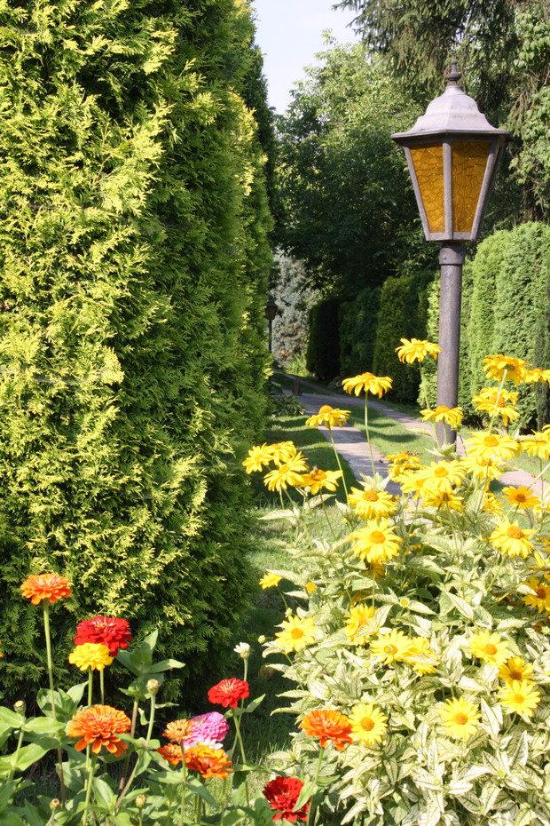 Zakątek relaksu dla ludzi i kotów