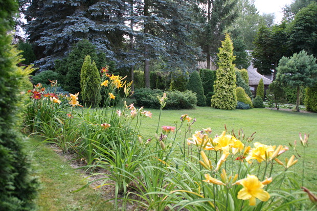 Zakątek relaksu dla ludzi i kotów