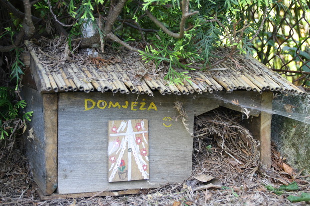 Zakątek relaksu dla ludzi i kotów