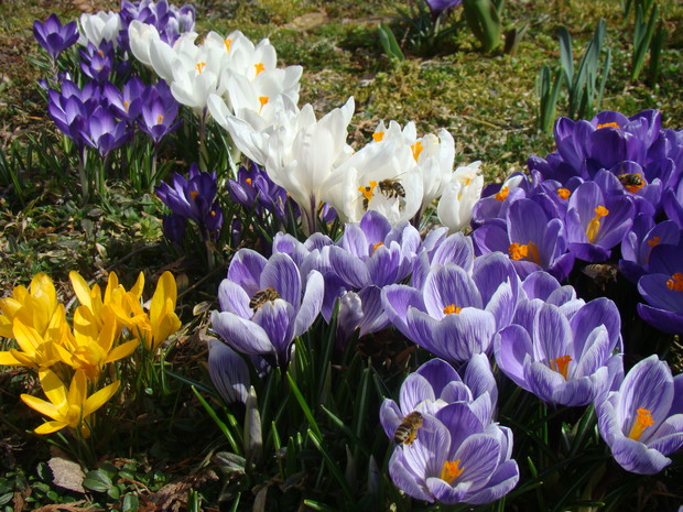 Zakątek relaksu dla ludzi i kotów