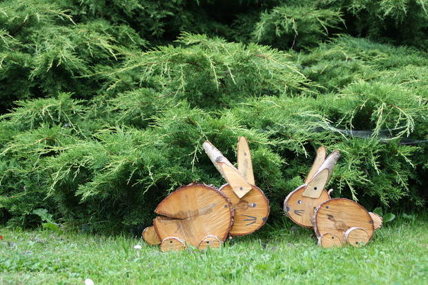 Zakątek relaksu dla ludzi i kotów