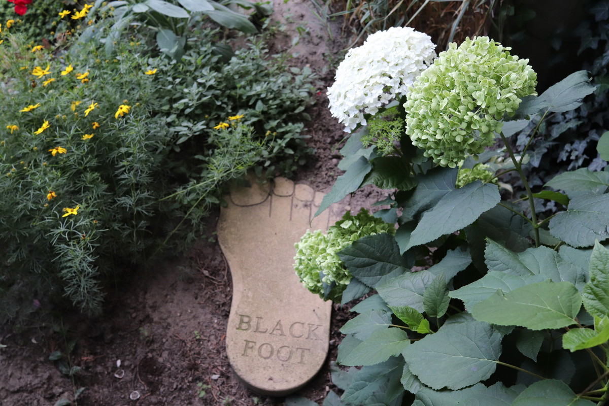 BLACK FOOD