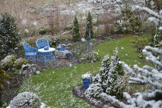 Błękitny zakątek - 2017