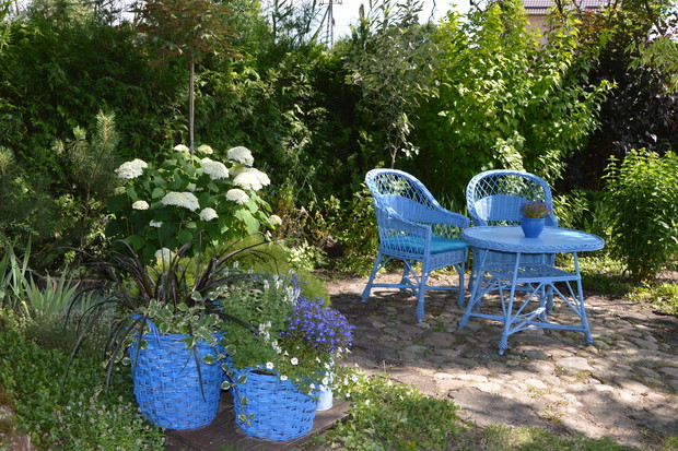 Błękitny zakątek - lato 2018