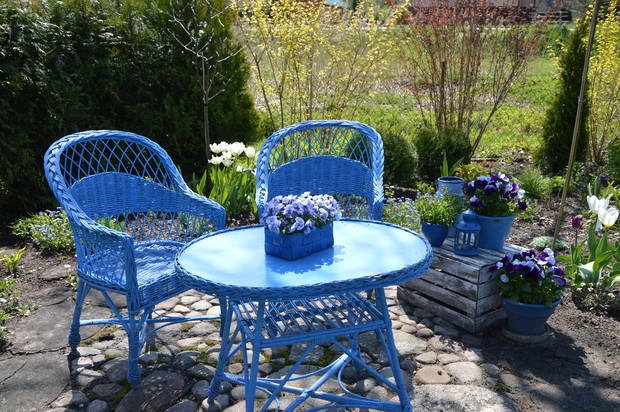 Błękitny zakątek - wiosna 2017