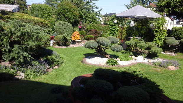 Iglaki po wyjściu od fryzjera