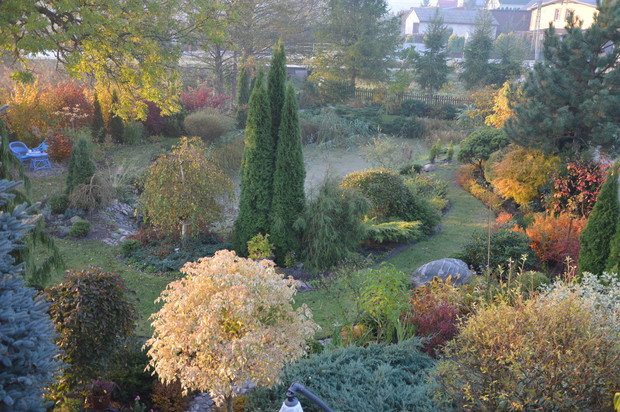 Jesień 2018 - widok z okna