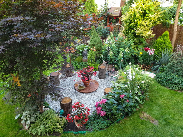 Jeszcze niedawno było tutaj oczko.