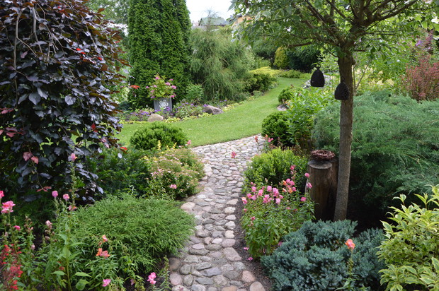 Kamienna ścieżka - lato 2019