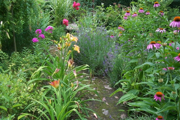 kamienne ścieżki , to co lubię w ogrodzie