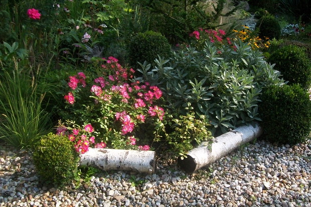 Kamyczki i konary w ogrodzie