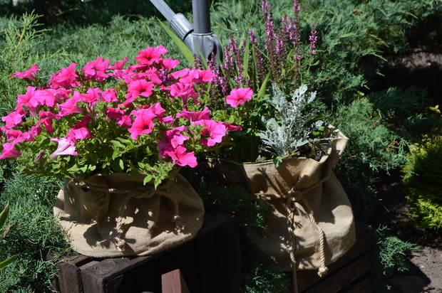 Lato 2017  - kompozycje w workach jutowych.