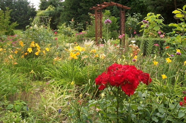 Mój kwiecisty raj
