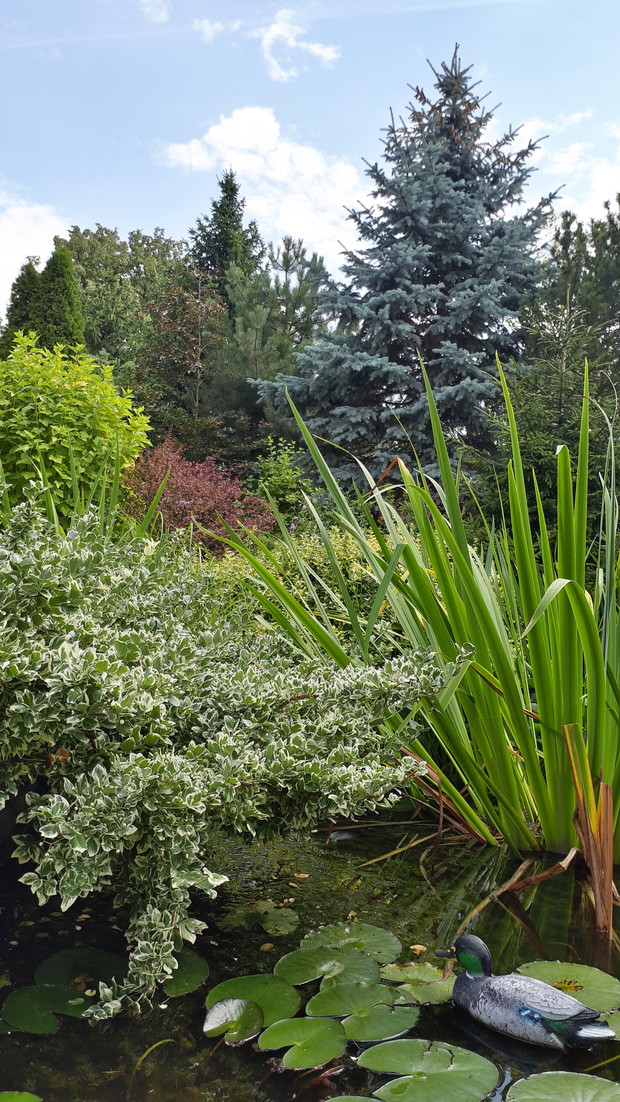 Najstarsza część ogrodu