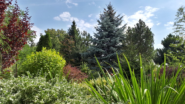 Najstarsza część ogrodu