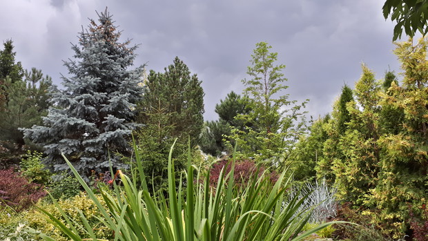 Najstarsza część ogrodu