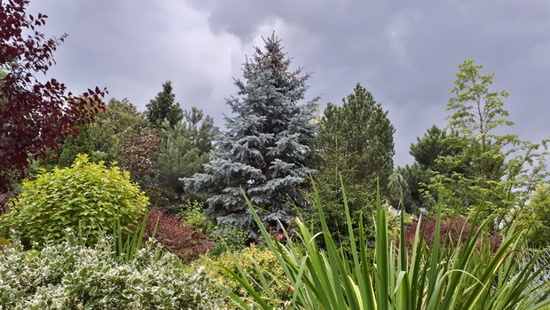 Najstarsza część ogrodu